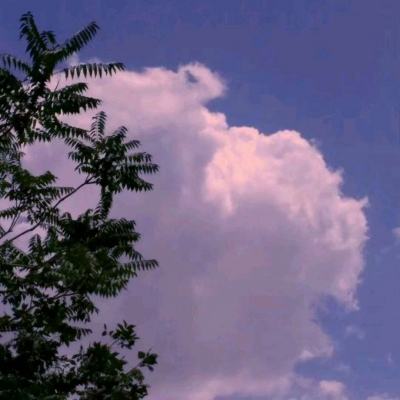 星辉物语官方版下载